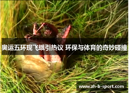 奥运五环现飞蛾引热议 环保与体育的奇妙碰撞